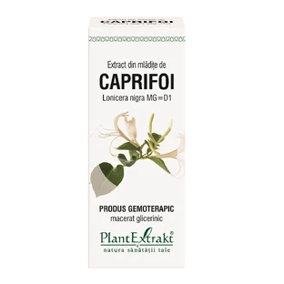Extracto de yemas de madreselva, 50 ml, Plant Extrakt