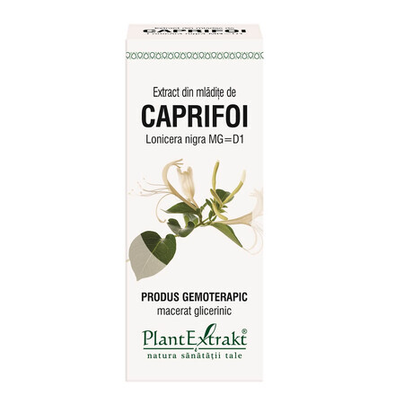 Estratto di germogli di caprifoglio, 50 ml, Plant Extrakt