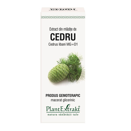 Cederhoutextract, 50 ml, Plant Extrakt