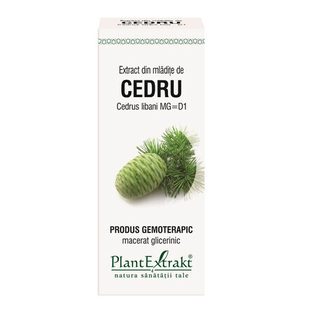 Extrait de bourgeon de cèdre, 50 ml, Plant Extrakt