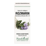 Extrait de bourgeon de romarin, 50 ml, Plant Extrakt