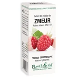 Raspberry Sprout Extract, 50 ml, Plant Extrakt 