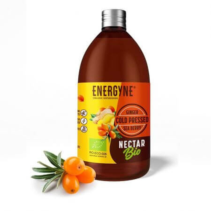 Bio Energyne Nektar aus Catina und Ingwer, 250 ml, BioCatina