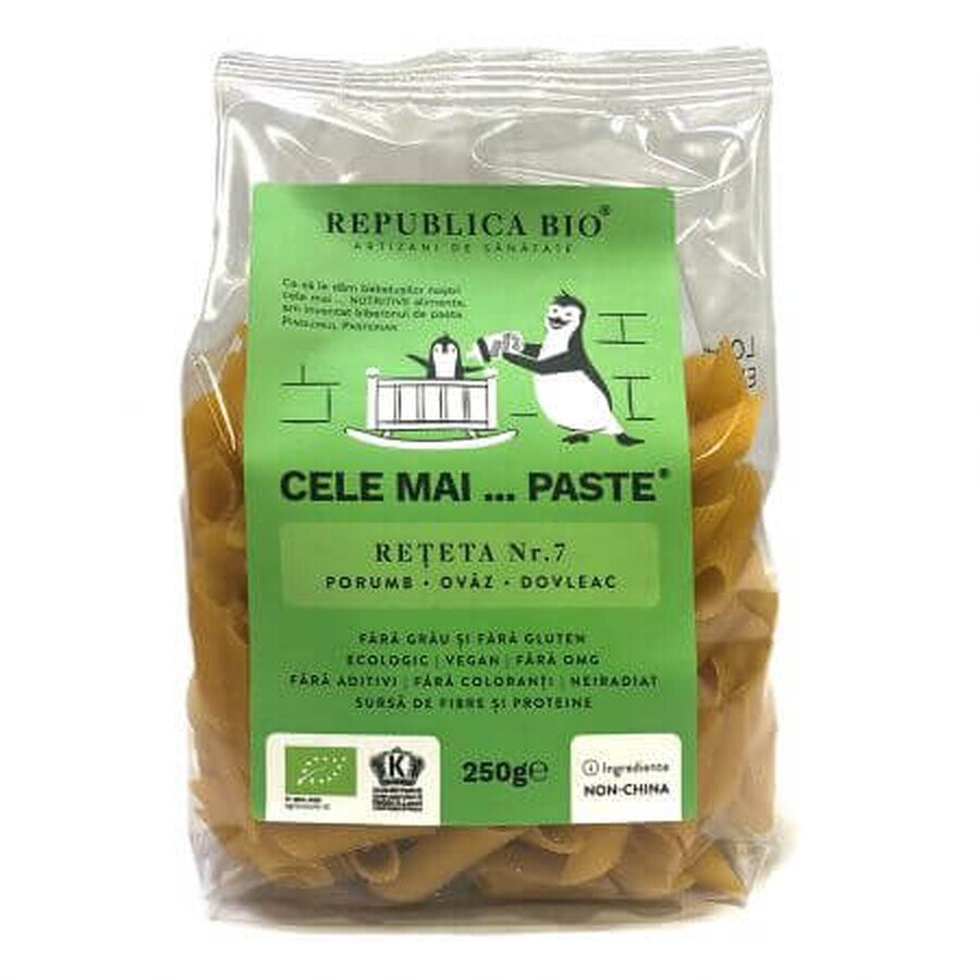 Glutenvrije eco pasta gemaakt van maïs, haver, pompoen Recept nr. 7, 250 g, Organic Republic