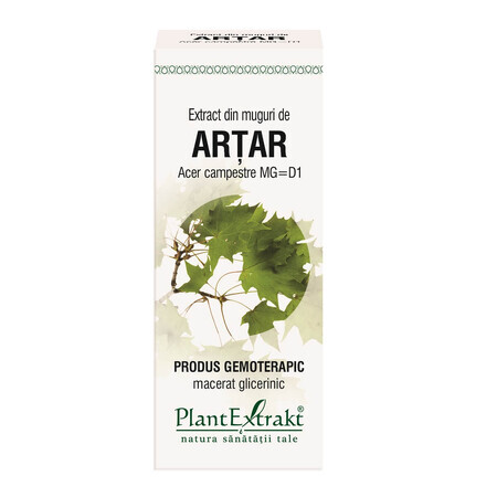 Extrait de bourgeon d'érable, 50 ml, Plant Extrakt