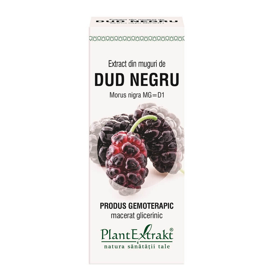 Extract din muguri de Dud Negru, 50 ml, Plant Extrakt