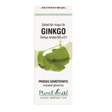 Ginkgo Biloba knop extract, 50 ml, Plantenextrakt