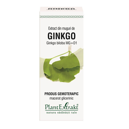 Extrait de bourgeon de Ginkgo Biloba, 50 ml, Plant Extrakt