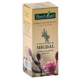 Extract van de bloemknoppen van Migdal, 50 ml, Extrakt Plant