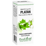 Extract din muguri de Platan, 50 ml, Plant Extrakt