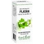 Plantain bud extract, 50 ml, Plant Extrakt