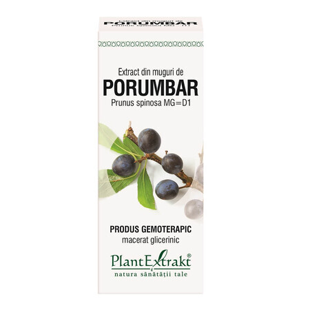 Extract din muguri de Porumbar, 50 ml, Plant Extrakt