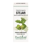 Extracto de brotes de roble, 50 ml, Plant Extrakt