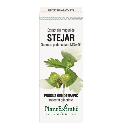 Extrait de bourgeon de chêne, 50 ml, Plant Extrakt