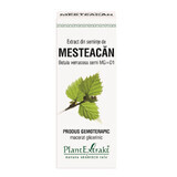 Mesteacan-Samenextrakt, 50 ml, Pflanzenextrakt