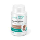 Ganoderma-extract, 30 capsules, Rotta Natura