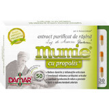 Extrait purifié de résine de momie avec propolis, 30 gélules, Damar General Trading