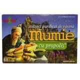 Extrait purifié de résine de momie avec propolis, 60 comprimés, Damar General Trading