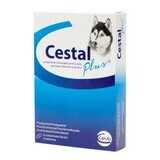 Internal antiparasitic for dogs Cestal Plus Chew, 8 chewable tablets, Ceva Sante