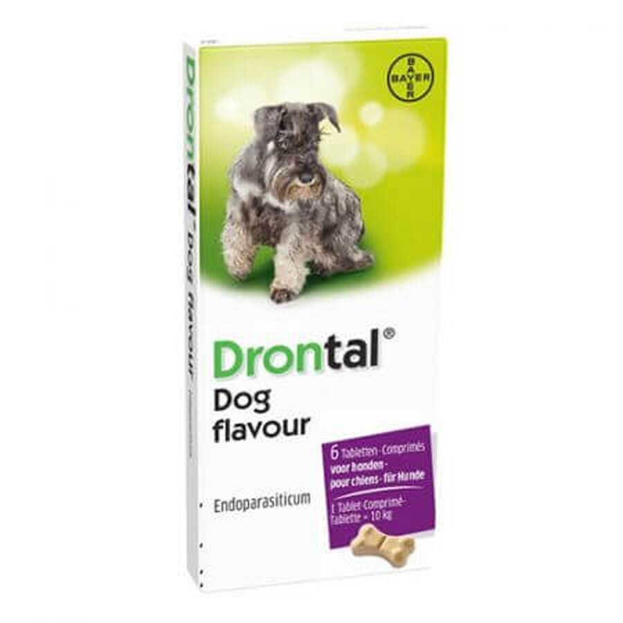 Intern antiparasitair voor honden Drontal Flavour, 6 tabletten, Bayer Vet