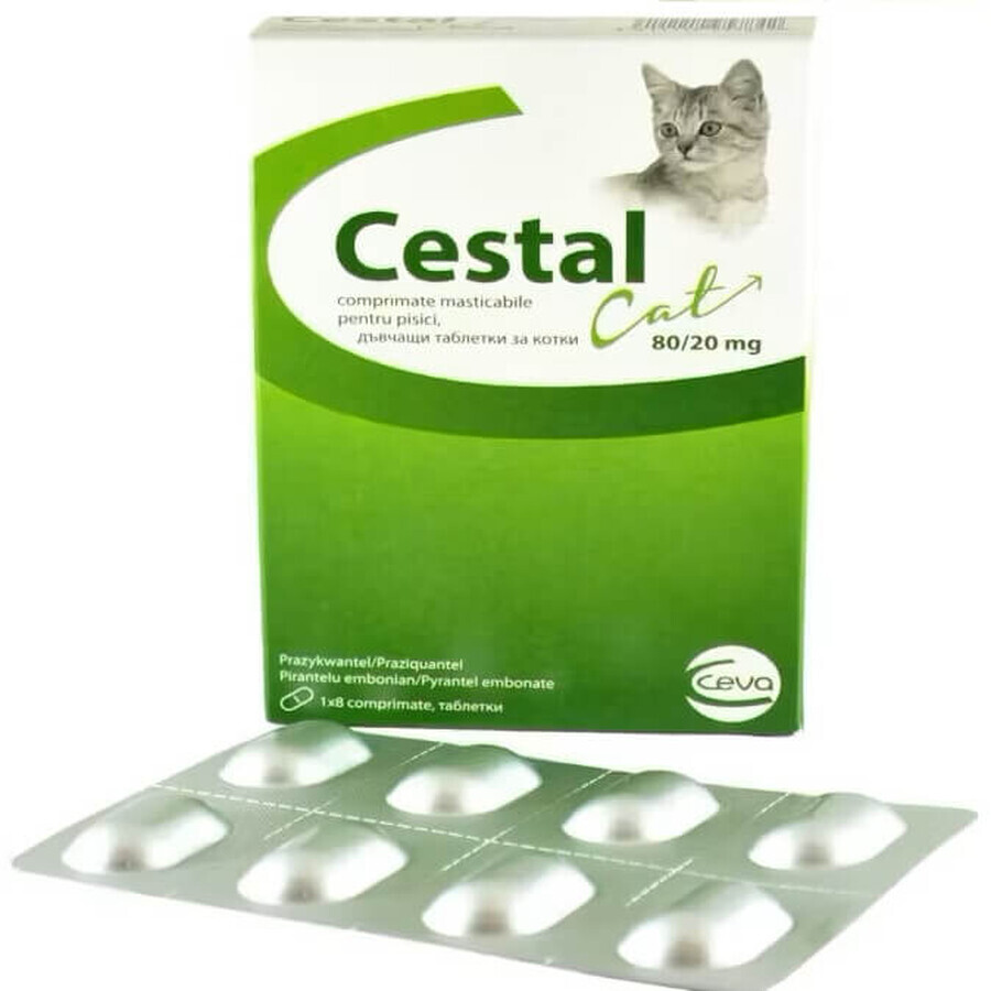 Inwendig antiparasiticum voor katten Chestal Cat Chew, 8 kauwtabletten, Ceva Sante