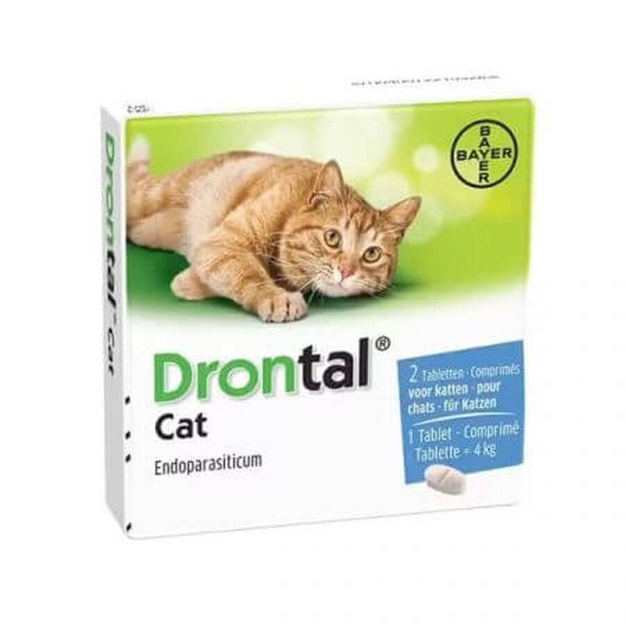 Drontal Cat inwendig antiparasiticum voor katten, 2 tabletten, Bayer Vet