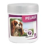 Vitamin supplement for protecting the skin and coat health in dogs Pet Phos Canin Special Pelage, 50 tablets, Ceva Sante