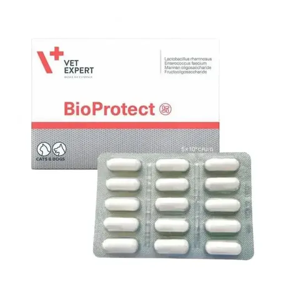 Supplément nutritionnel pour chiens et chats BioProtect, 60 gélules, VetExpert