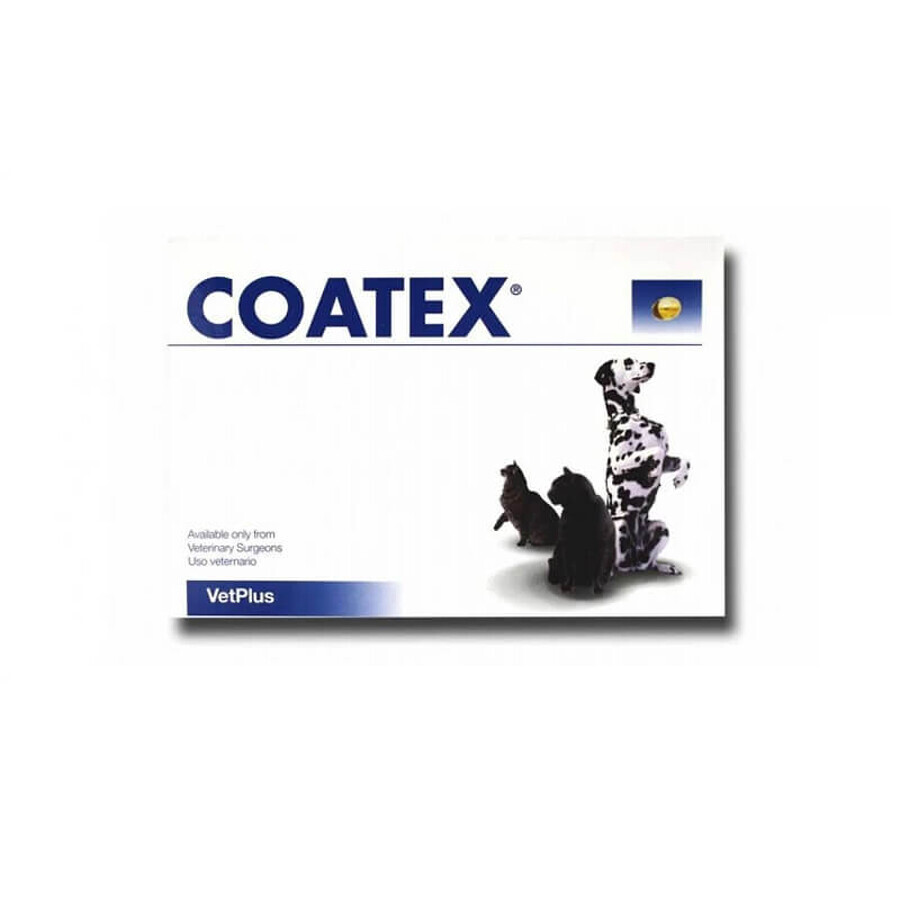 Voedingssupplement voor honden en katten voor een gezonde huid en vacht Coatex, 60 capsules, VetPlus