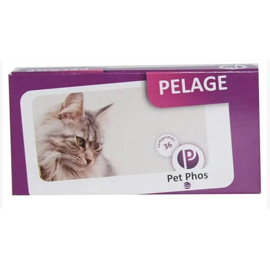 Supplement for improving the appearance of the skin and fur in cats Pet Phos Felin Pelage, 36 tablets, Ceva Sante