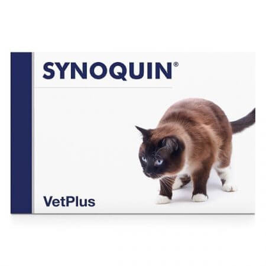 Synoquin Kat, 30 capsules, VetPlus