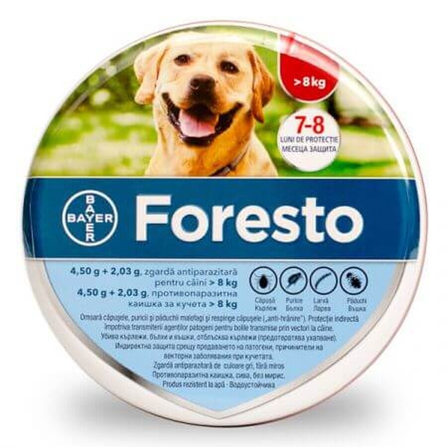 Antiparasitäres Halsband für große Hunde Foresto Collar, 1 Stück, Bayer Vet OTC