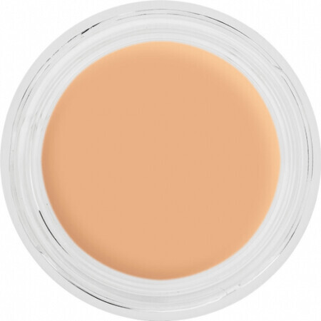 Kryolan Digital Teint Creme Foundation O16 12g