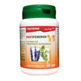 Favifeminin, 40 gélules, Favisan