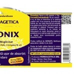 Feronix, 60 gélules, Herbagetica