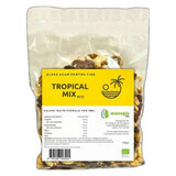 Mix bio de fructe, nuci si ciocolata Tropical, 250 g, Managis