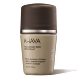 Magnesium Deodorant für Männer Time to Energize Men, 50 ml, Ahava