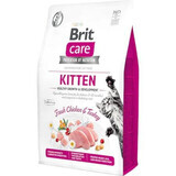 Dry food with chicken and turkey for cats Brit Care GF Healthy Growth & Development, 2 kg, Brit