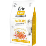 Dry cat food with salmon and chicken Brit Care GF Healthy & Shiny Coat, 2 kg, Brit