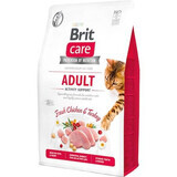 Dry food for cats Brit Care GF Adult Activity Support, 2 kg, Brit