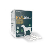 Supplement voor grote honden, 120 tabletten, Hyaloral