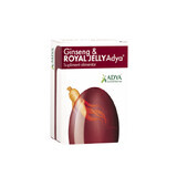 Ginseng &amp; koninginnebrij 30 softgel capsules - Adya Green Pharma