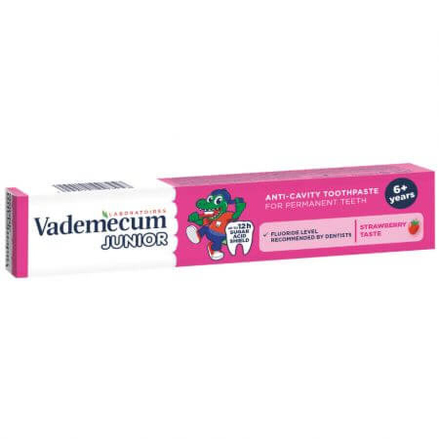 Dentifrice Junior à la fraise, 6 ans et +, 75 ml, Vademecum