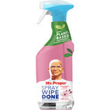 Mr. Proper Spray multi-surface fleurs, 800 ml