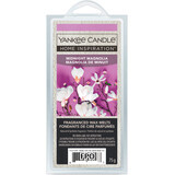 Yankee Candle Cire parfumée magnolia de minuit, 1 pc