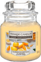 Yankee Candle Citrus Spice Geurkaars, 104 g