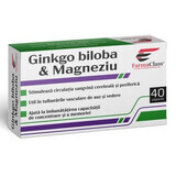 Ginkgo Biloba &amp; Magnesium, 40 capsules, FarmaClass