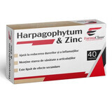 Harpagophytum &amp; Zink, 40 capsules, FarmaClass