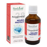 Polygemma 28 Neuro Protect, 50 ml, Extraits de plantes