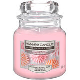 Yankee Candle Bougie parfumée à la fleur sucrée, 104 g